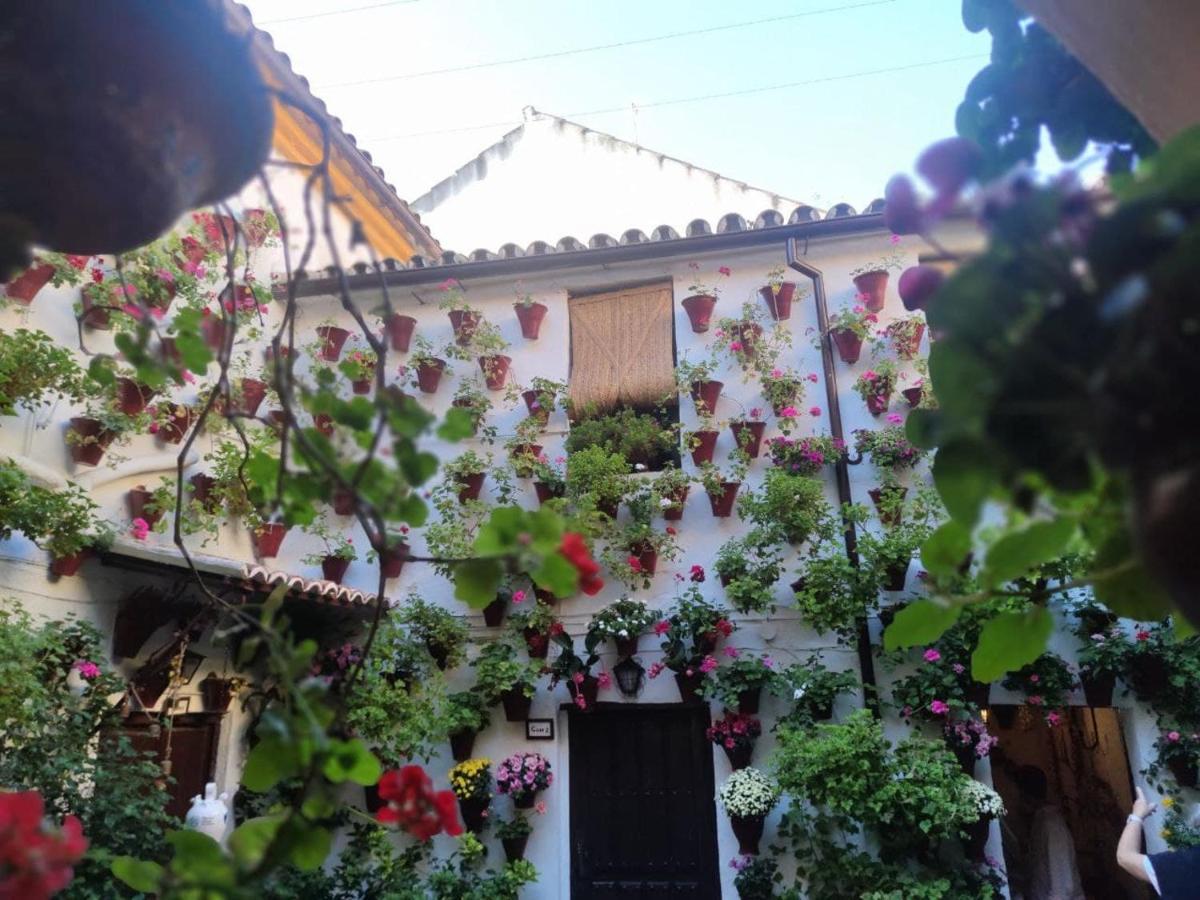 El Capricho De San Fernando, Consigna Gratis Y Parking A 200Mts Appartement Córdoba Buitenkant foto