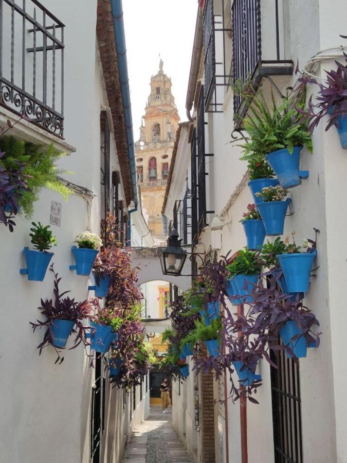 El Capricho De San Fernando, Consigna Gratis Y Parking A 200Mts Appartement Córdoba Buitenkant foto