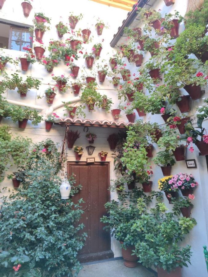 El Capricho De San Fernando, Consigna Gratis Y Parking A 200Mts Appartement Córdoba Buitenkant foto