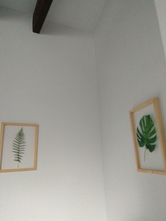 El Capricho De San Fernando, Consigna Gratis Y Parking A 200Mts Appartement Córdoba Buitenkant foto