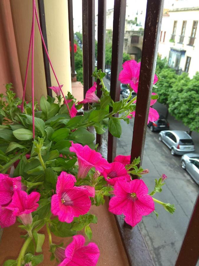 El Capricho De San Fernando, Consigna Gratis Y Parking A 200Mts Appartement Córdoba Buitenkant foto